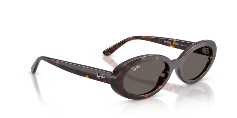 Ray-Ban 0RB2223