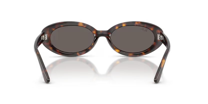 Ray-Ban 0RB2223