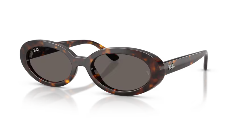 Ray-Ban 0RB2223