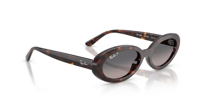 Ray-Ban 0RB2223