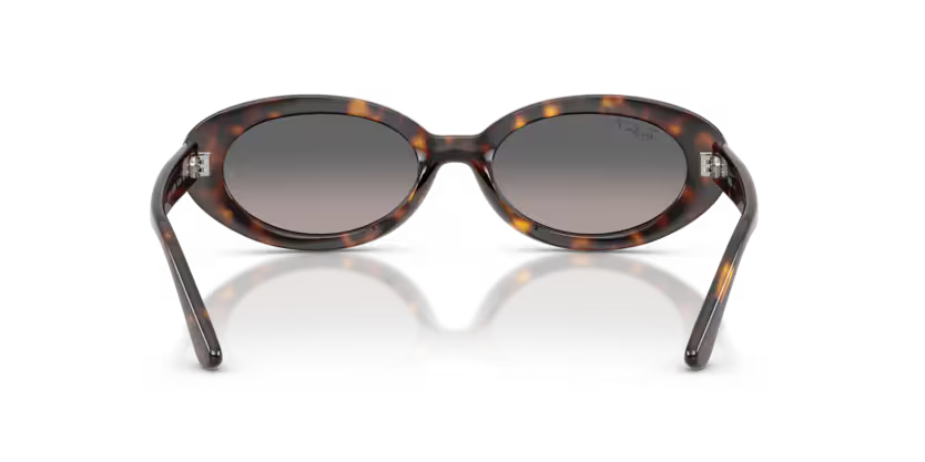 Ray-Ban 0RB2223