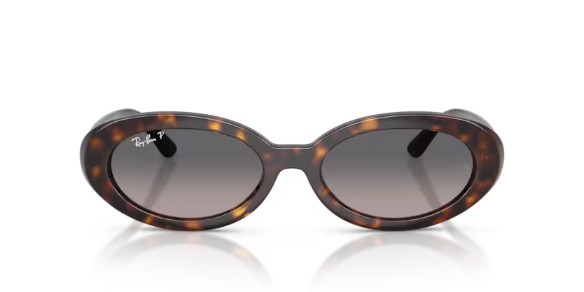 Ray-Ban 0RB2223