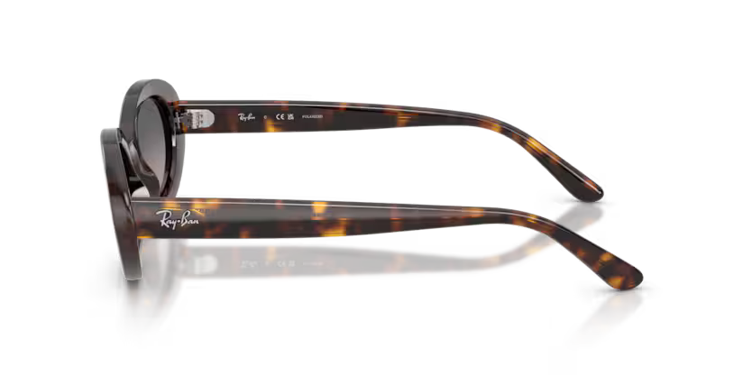Ray-Ban 0RB2223