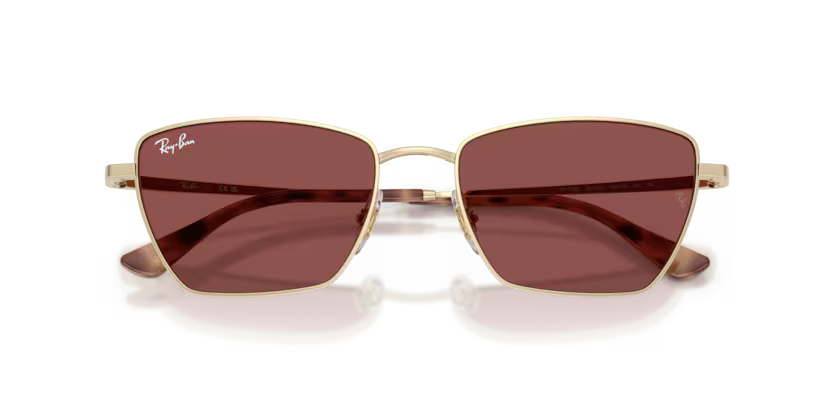 Ray-Ban 0RB3783