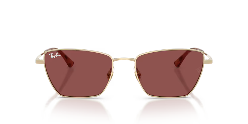 Ray-Ban 0RB3783