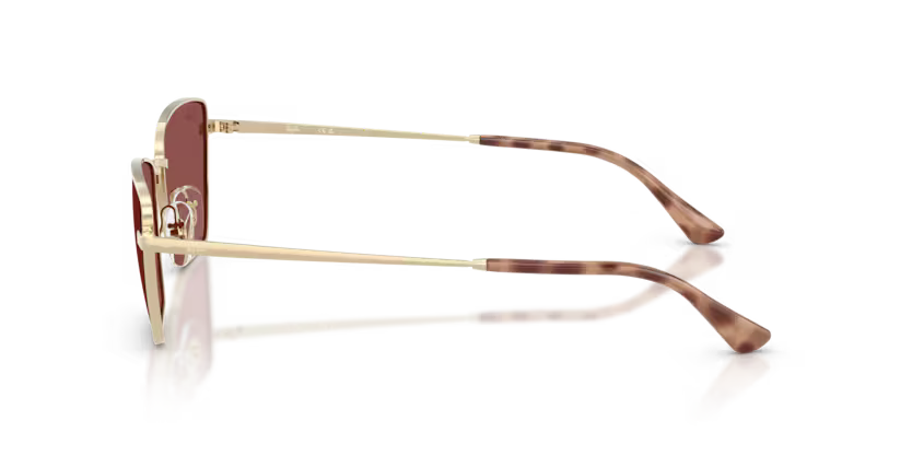 Ray-Ban 0RB3783