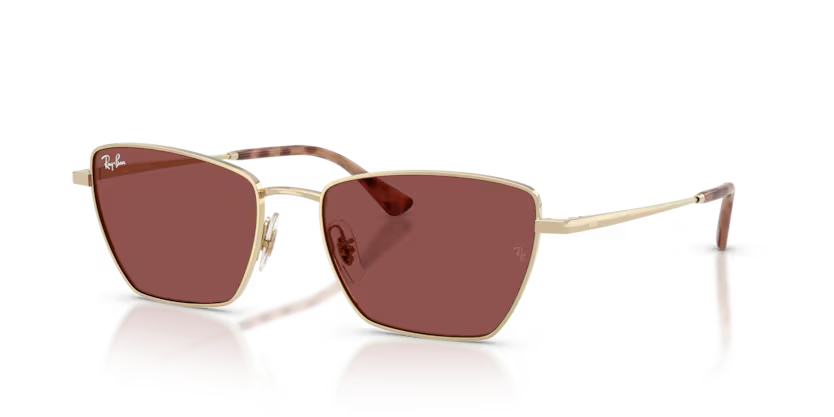 Ray-Ban 0RB3783