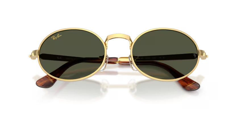 Ray-Ban 0RB3931