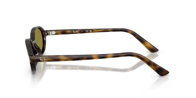 Ray-Ban 0RB4472
