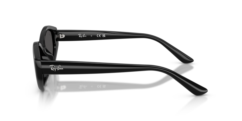 Ray-Ban RB4473D