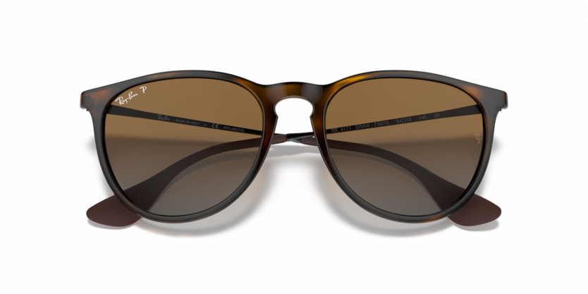 Ray-Ban 0RB4171 - Erika