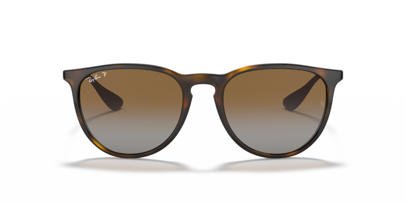 Ray-Ban 0RB4171 - Erika