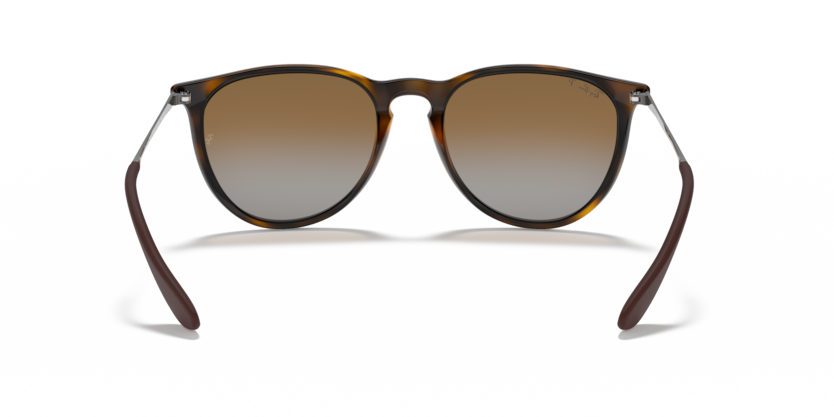 Ray-Ban 0RB4171 - Erika