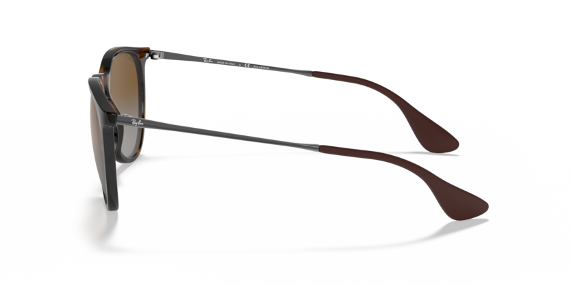 Ray-Ban 0RB4171 - Erika