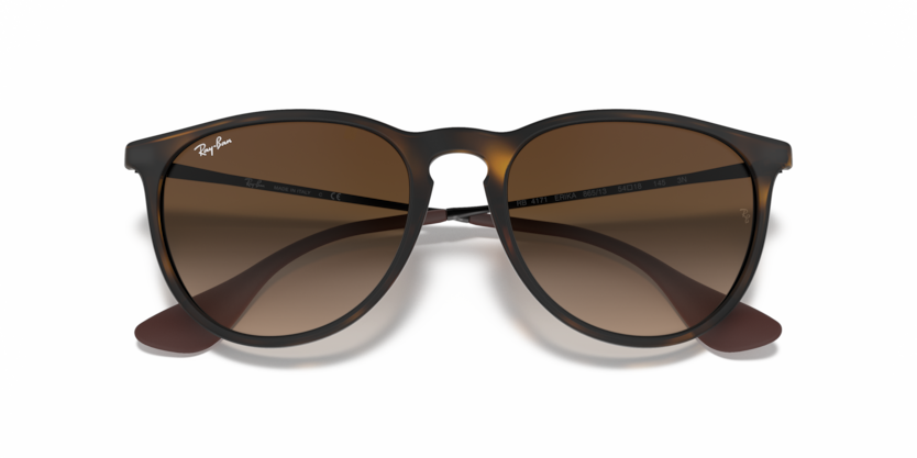 Ray-Ban 0RB4171 - Erika