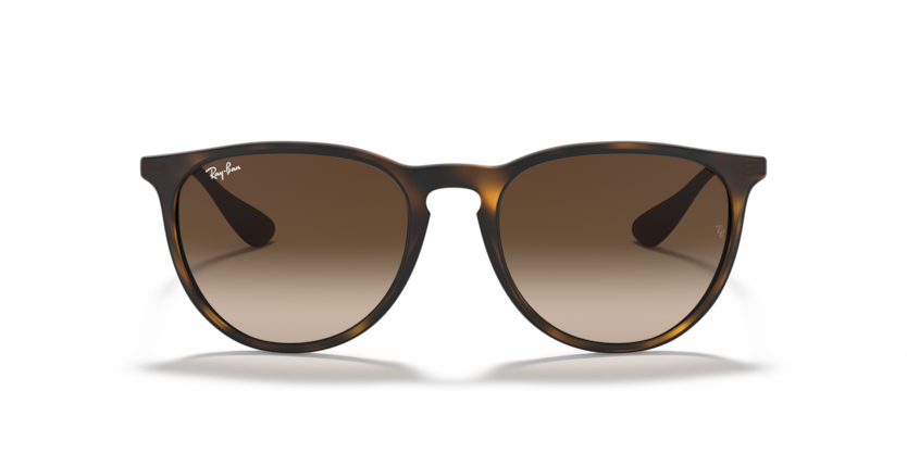 Ray-Ban 0RB4171 - Erika