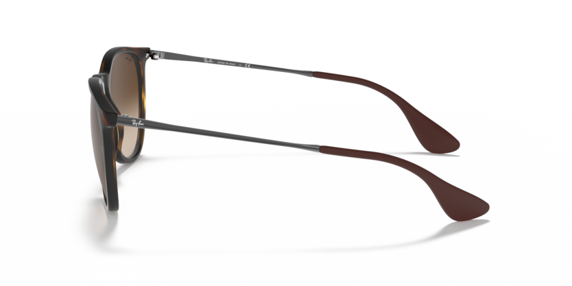 Ray-Ban 0RB4171 - Erika