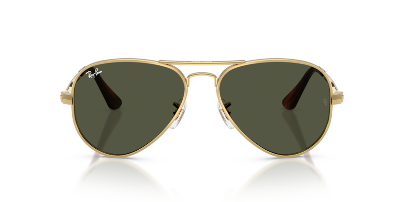 Ray-Ban 0RB3925 - Aviator Max