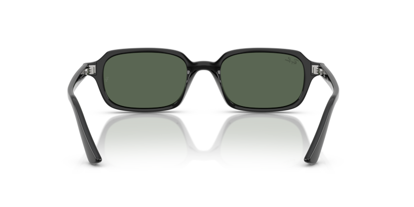Ray-Ban 0RB4455 - Zuri