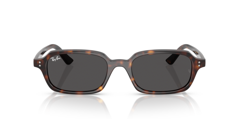 Ray-Ban 0RB4455 - Zuri