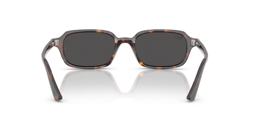 Ray-Ban 0RB4455 - Zuri