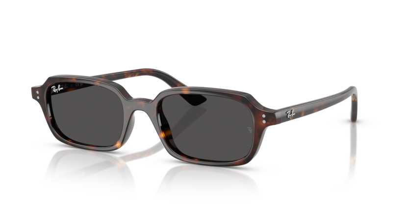 Ray-Ban 0RB4455 - Zuri