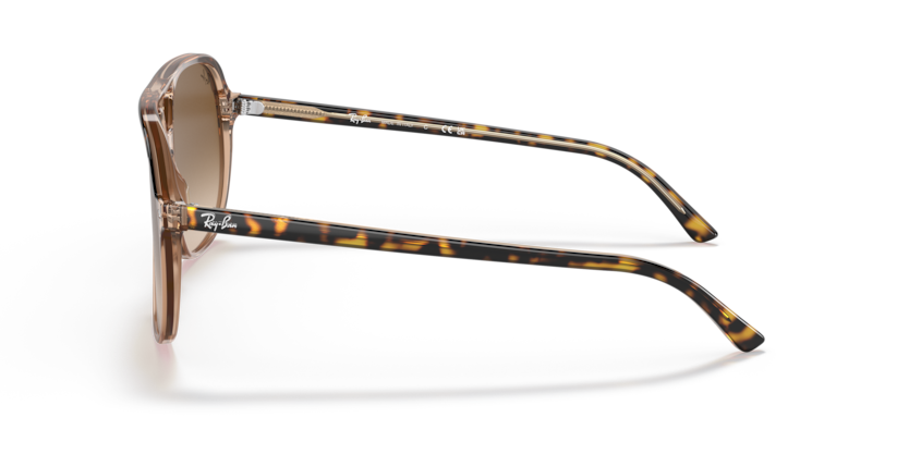 Ray-Ban 0RB2198 - Bill