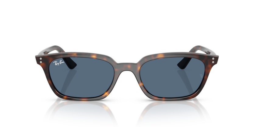 Ray-Ban 0RB4456 - Zaya