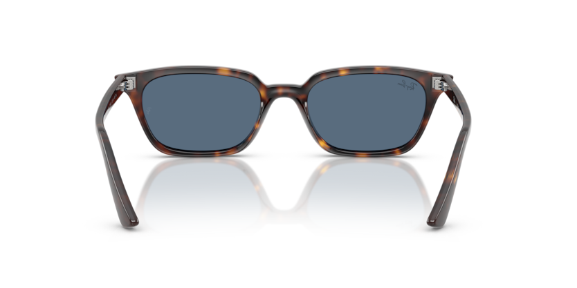 Ray-Ban 0RB4456 - Zaya