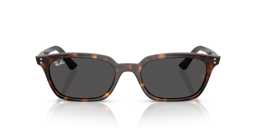 Ray-Ban 0RB4456 - Zaya