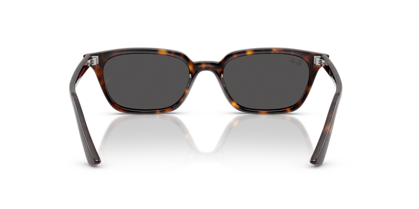 Ray-Ban 0RB4456 - Zaya