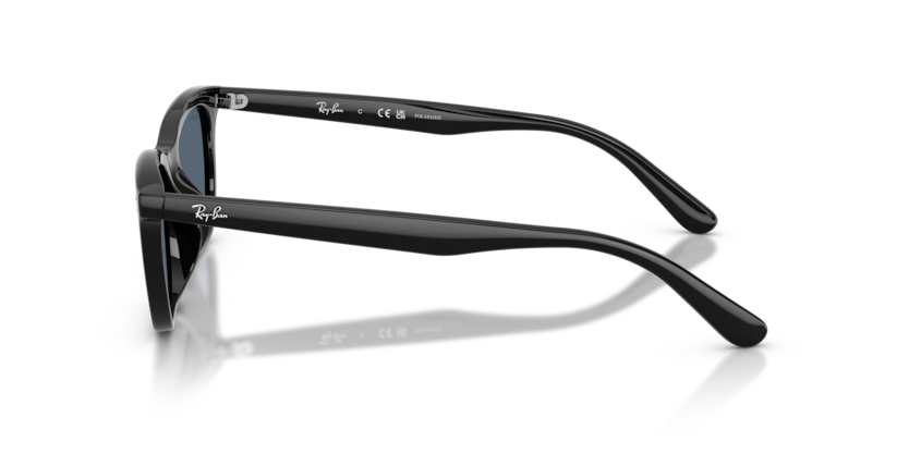 Ray-Ban RB4474D