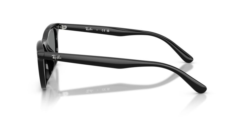 Ray-Ban RB4474D