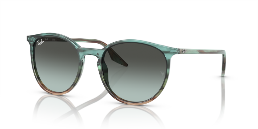 Ray-Ban 0RB2204