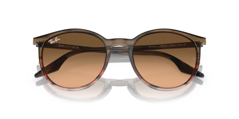 Ray-Ban 0RB2204