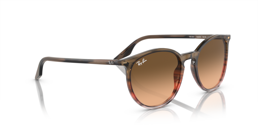 Ray-Ban 0RB2204