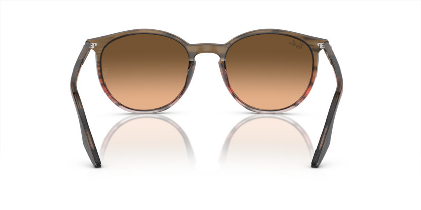 Ray-Ban 0RB2204