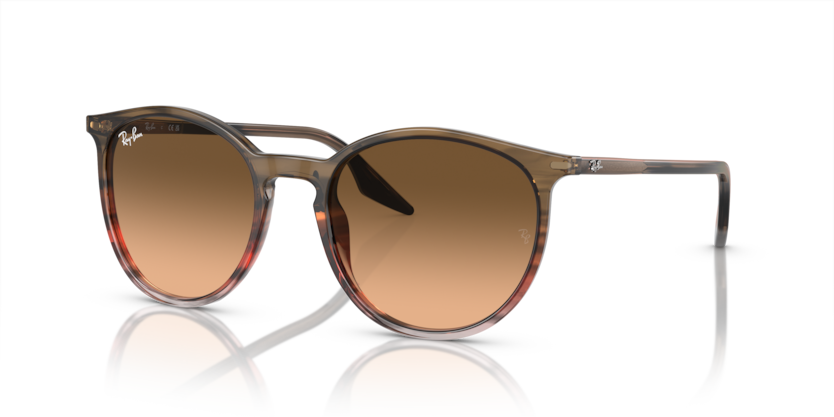 Ray-Ban 0RB2204