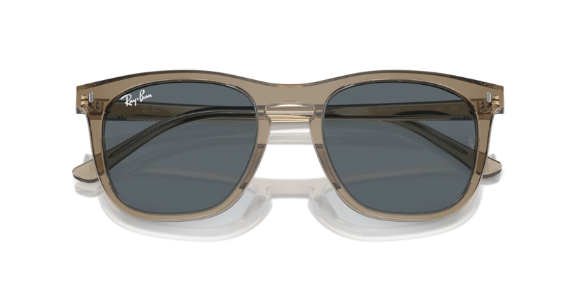 Ray-Ban 0RB2210