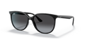 Ray-Ban 0RB4378