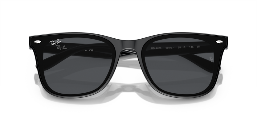 Ray-Ban 0RB4420