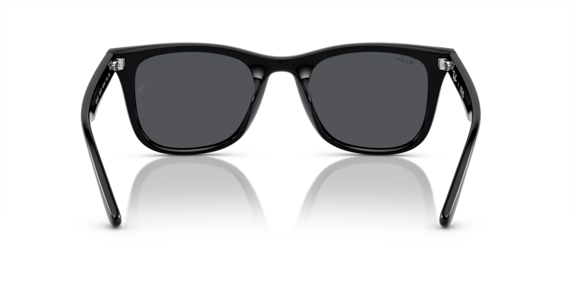 Ray-Ban 0RB4420