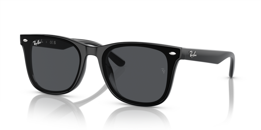Ray-Ban 0RB4420