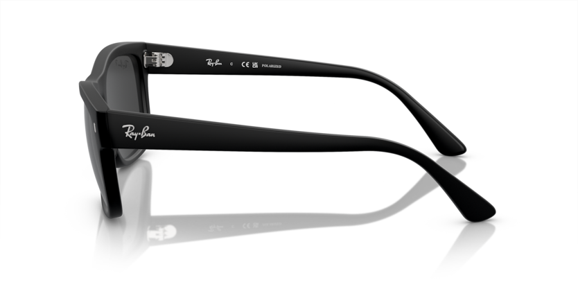 Ray-Ban 0RB4428