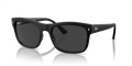 Ray-Ban 0RB4428