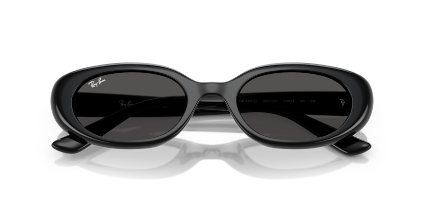 Ray-Ban 0RB4441D
