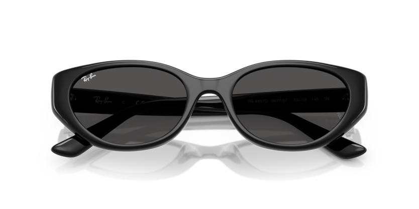 Ray-Ban 0RB4457D