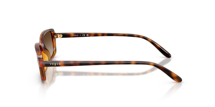 Vogue Eyewear VO5666S
